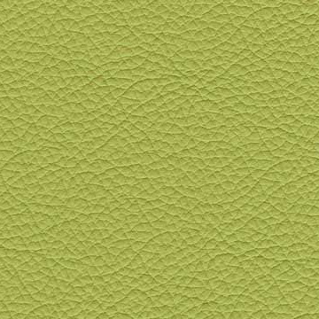 Sierra-0407 lime
